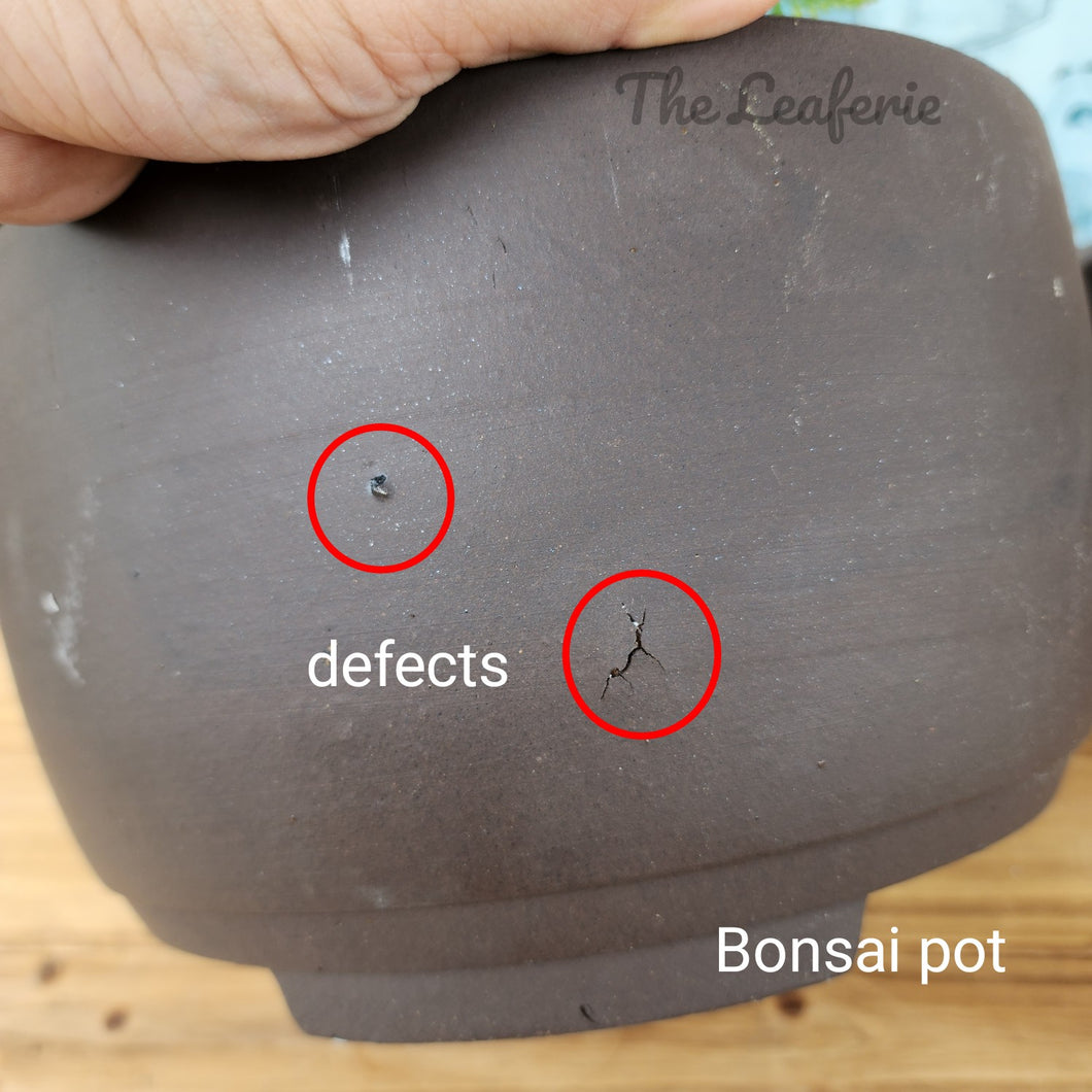 As-Is Pots Batch September 2022 (5 items)